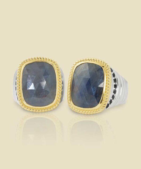 Sterling Silver Rings with 18K Yellow Gold and 1392ct and 1453ct Sapphires and 43ct and 44ct Black Diamonds